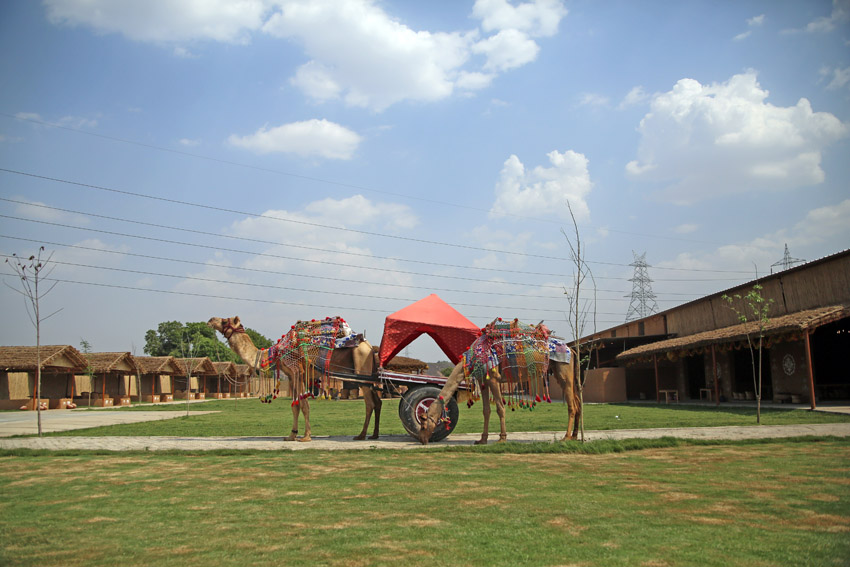 Best Places for a Family Picnic in Delhi NCR- Madhavgarh Farms