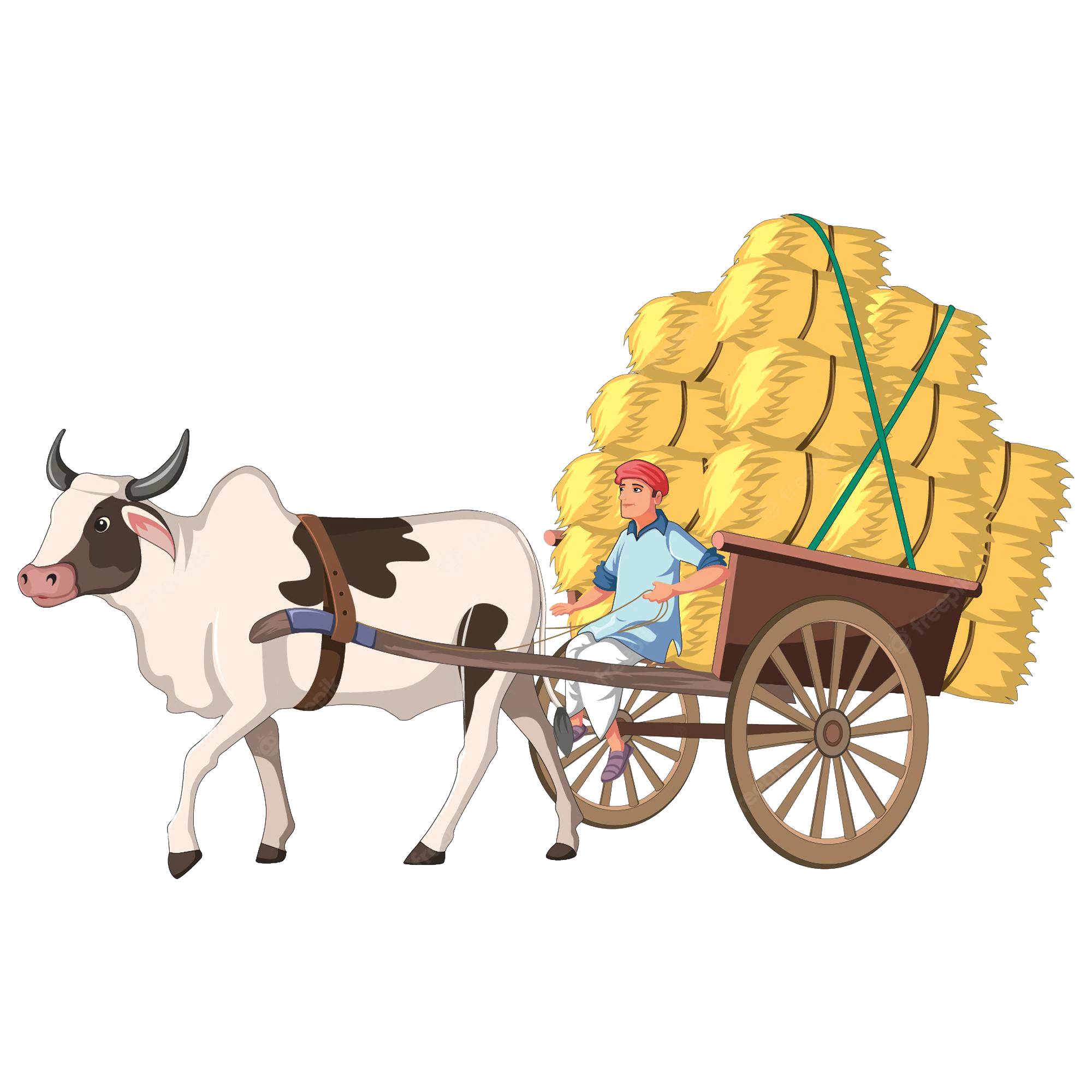Bullock Cart Ride