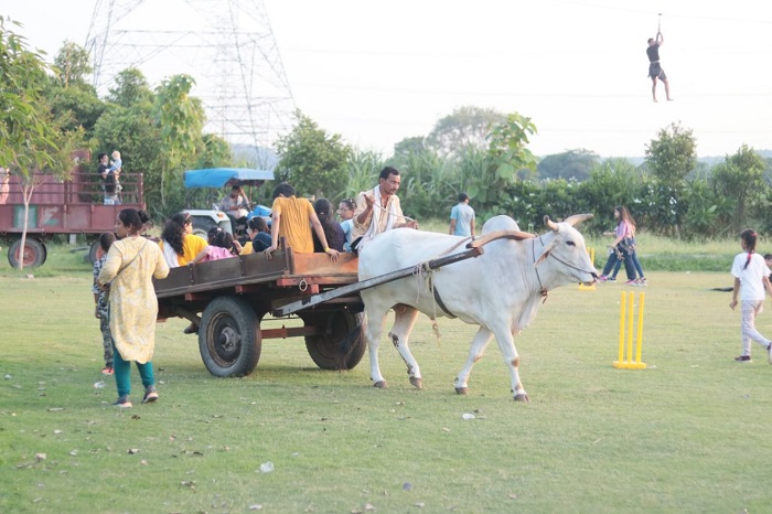 Plan A Fun Weekend at Madhavgarh Farms With Your Loved Ones